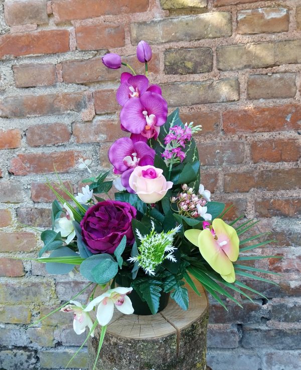 Coupe Orchidée